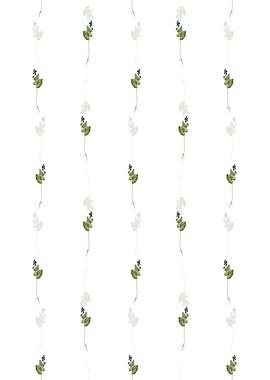 Floral Mayanthemum Pattern