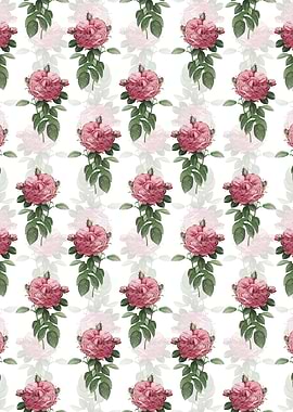 Giant French Rose Pattern