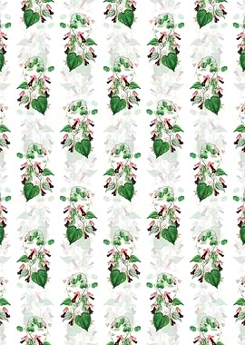 Twinning Red Cloak Flower