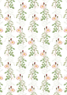 Sparkling Rose Pattern