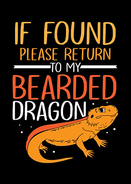 Bearded Dragon