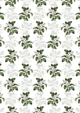 Sweet Crabapple Pattern