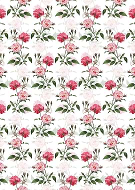 Ever Blowing Rose Pattern