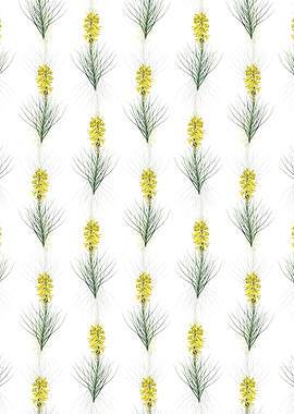 Yellow Asphodel Pattern