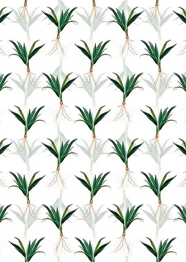 Date Palm Tree Pattern