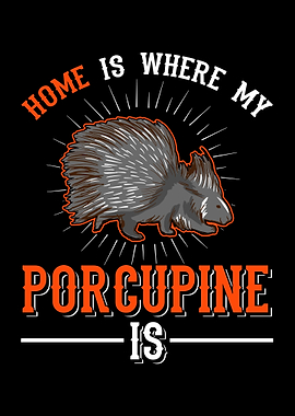 Porcupine Gift