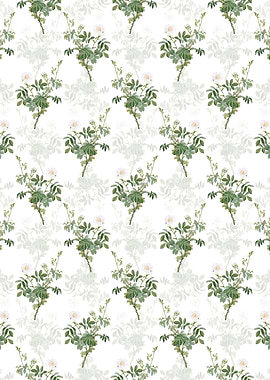 White Downy Rose Pattern