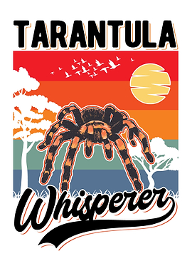 Tarantula Gift