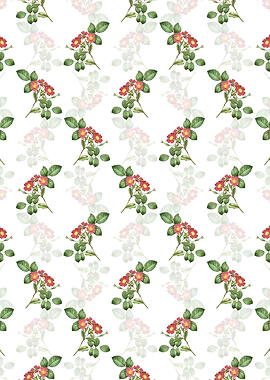 White Redleaf Rose Pattern