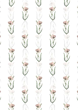 Satiny Calochortus Branch