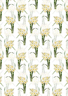 Bunch Flowered Daffodil