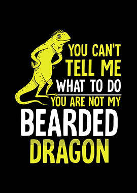 Bearded Dragon