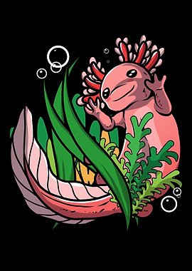 Axolotl Salamander