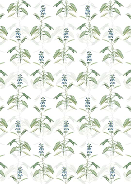 Floral Sage Plant Pattern