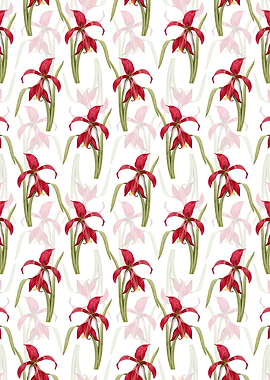 Floral Amaryllis Pattern