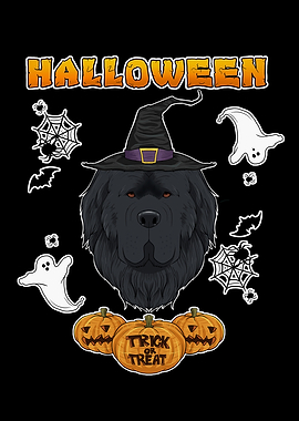 Halloween Newfoundland