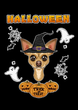 Halloween Chihuahua