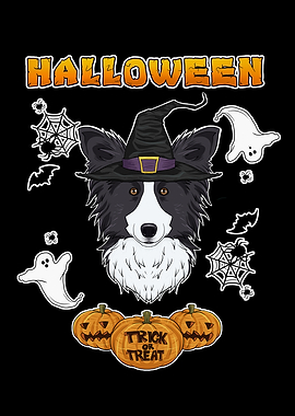 Halloween Border Collie