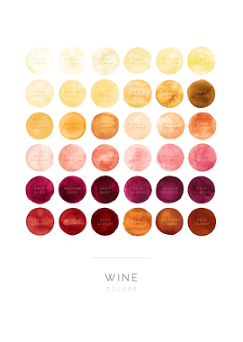 Wine guide