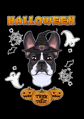 Halloween Boston Terrier