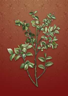 Bilberry on Falu Red