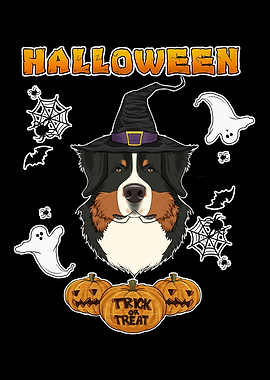 Halloween Bernese Mountain
