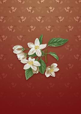 Crabapple on Falu Red