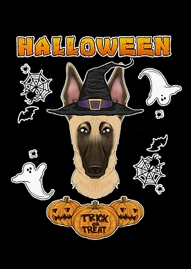 Happy Halloween Malinois