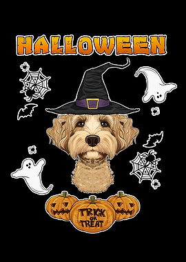 Halloween Labaradoodle