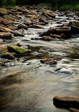 Rocky stream