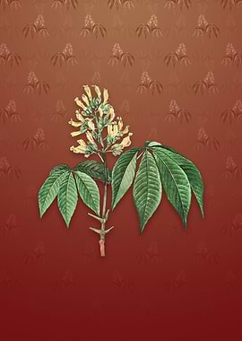 Vintage Yellow Buckeye