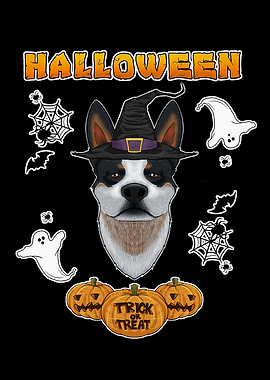 Halloween I Blue Heeler