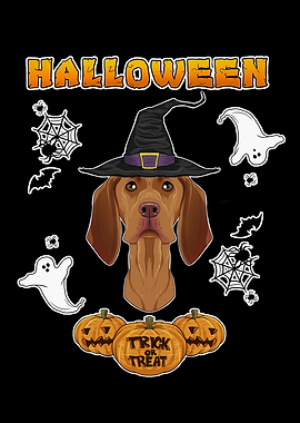 Happy Halloween Vizsla