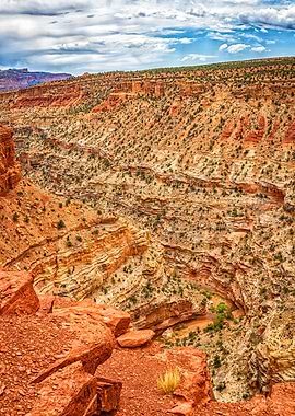 Capitol Reef National Park