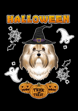 Happy Halloween Havanese