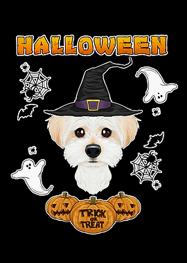 Happy Halloween Maltese