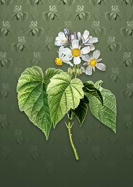 Vintage African Hemp