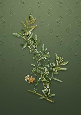 Goji Berry on Lunar Green