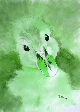 Innocent Eyes green - Duck