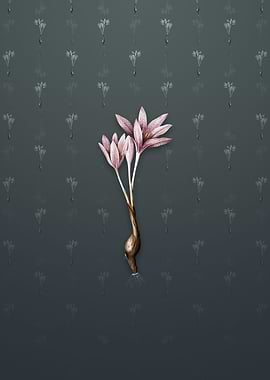 Vintage Autumn Crocus