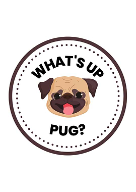 Whats Up Pug