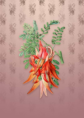 Crimson Glory Pea Flower