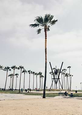 Venice Beach California