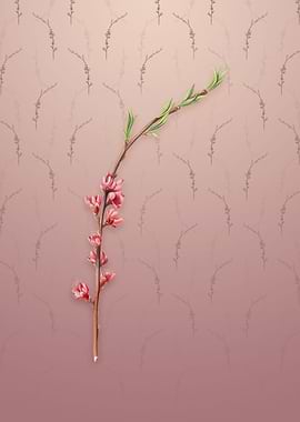 Vintage Peach Blossom