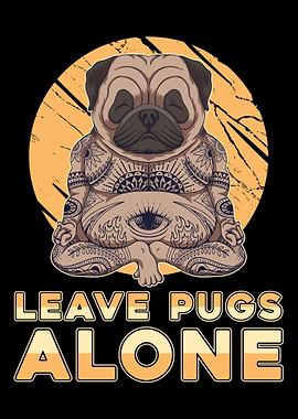 Yoga Instructor Yogi Zen