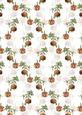 Floral Pomegranate Pattern