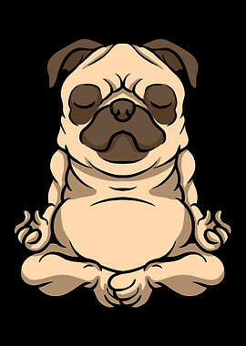 Yoga Instructor Yogi Zen