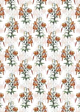 Floral Tiger Lily Pattern