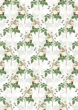 White Adelia Aurelianensis