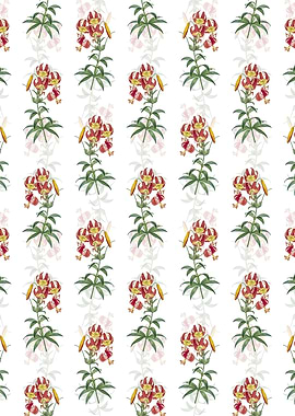 Floral Turban Lily Pattern